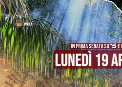 Isola dei Famosi, nuovi ingressi: ex concorrente del Gf Vip 5 pronta per l'Honduras
