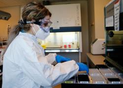 Omicron, nuova variante Xj isolata in Italia:  "Equivalente a Xe": ecco i sintomi