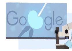 Anne McLaren, chi &egrave; la protagonista del doodle di Google oggi