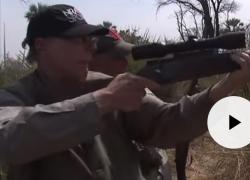 Wayne LaPierre, presidente della Nra, spara a un elefante: il video che fa scalpore
