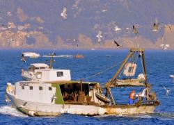 Libia, spari contro i pescherecci  italiani: ferito un comandante