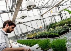 Isagro SpA. Importante cambio di poltrone ai vertici della società, come conseguenza dell'OPA in corso