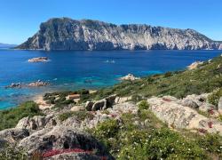  AXA Italia e Worldrise insieme per la tutela dei mari e degli oceani

