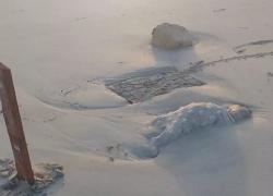 Migranti, cadaveri di bambini sulla spiaggia. Open Arms: "Europa vergognati"