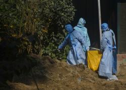 Covid? Non solo. Aviaria in Cina e fungo nero in India: allarme epidemie