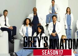 Amazon Prime Video, Grey's Anatomy stagione 17: quando esce in Italia NO SPOILER