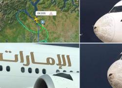 Malpensa, il boeing 777 di Emirates colpito dalla grandine costretto a rientrare