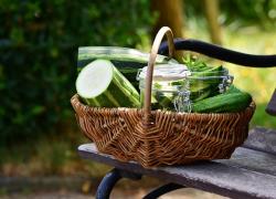 Zucchine ricette veloci: cucinate in questo modo sono squisite e fanno fare un figurone