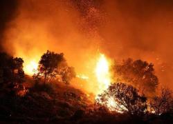 Francia, un incendio brucia 6200 ettari tra Landes e Gironda: 10 mila evacuati