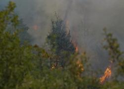 Roghi in Sardegna, Procura indaga per incendio colposo: dietro un uomo
