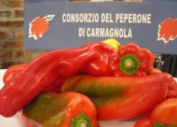 Fiera nazionale del peperone: a Carmagnola prosegue la tradizione 