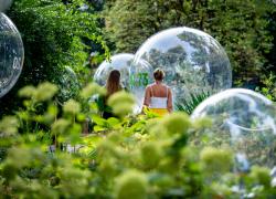 FuoriSalone 2021: Eni presenta all'Orto Botanico di Brera Natural Capital 


