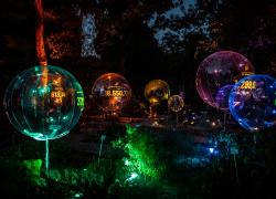 FuoriSalone 2021, Eni racconta la decarbonizzazione all'Orto Botanico di Brera. La Gallery