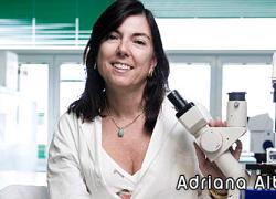 Università Bicocca: Adriana Albini alla guida del team dell’American Association for Cancer Research
