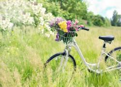 L'Italia è un popolo di ciclisti: boom di bici vendute nel 2020, molte sono elettriche