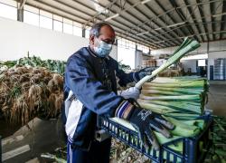 Riforma pensioni 2022 lavori gravosi, quali sono: l'elenco completo