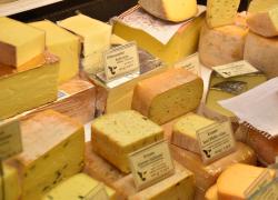 Mangiare formaggio tutti i giorni non fa ingrassare. Al contrario, può far bene al cuore