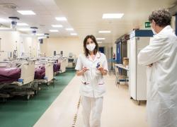 Covid, Merck chiede l'ok per la pillola contro il virus: "Dimezza ricoveri e decessi"