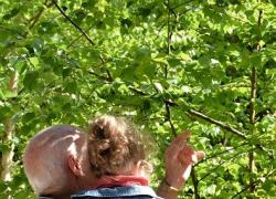 Festa dei nonni, perché si festeggia il 2 ottobre e altre curiosità 