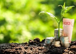 Sace, finanziamento da 100 milioni per la crescita sostenibile di Novamont insieme a un pool di banche