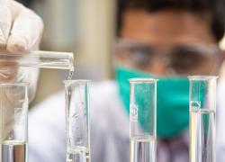 Covid creato in laboratorio, Palù: "Nuovi indizi, Wuhan da tempo si dedica alla coltura di virus di pipistrelli"