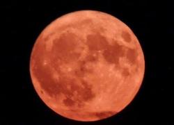 Luna piena del Cacciatore oggi 20 ottobre: cos'è, quando vederla e perchè si chiama così