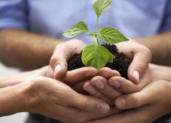 Unicredit premiata come Best Social Impact Bank in Europa per lo sviluppo sostenibile