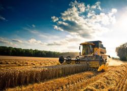 Unicredit e Confagricoltura, accordo per facilitare accesso al credito delle imprese agricole