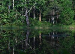 Pirelli e BMW Group insieme a BirdLife International per proteggere l’ecosistema naturale in Indonesia