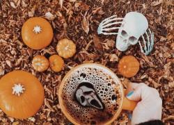 Costumi Halloween, idee originali e stravaganti: addio ai classici mostri