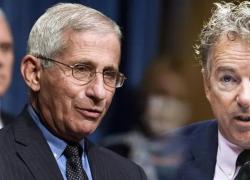 Covid, il virologo Anthony Fauci accusato di aver finanziato illecitamente il laboratorio di Wuhan