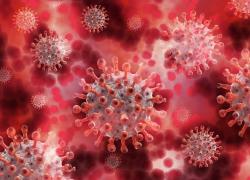 Variante Omicron, l'America si prepara ad affrontarla con una sanità “più umana”
