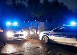 Influenza aviaria a Roma: "Morte 50 galline". Il focolaio in un allevamento di Ostia Antica