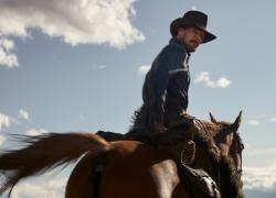 Benedict Cumberbatch, avvelenamento da nicotina in The Power of the Dog: cosa è successo