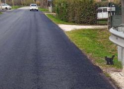 Autovelox? No, a Cervia per far rallentare gli automobilisti arriva un gatto nero (e funziona)
