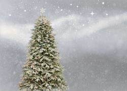 Puntale albero di Natale 2021: angelo, luminoso, Disney, fiocco, rosso o  fai da te