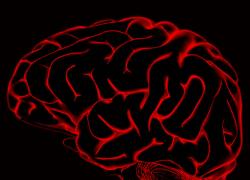 Mind uploading, i dubbi di un Nuovo Umanista