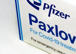 Covid, arriva Paxlovid:  il farmaco della Pfizer contro il virus