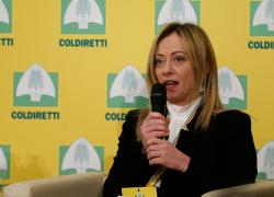 Covid, Meloni: "Tamponi gratis per tutti i cittadini italiani"
