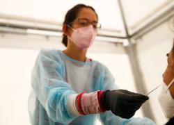 Caos tamponi nelle farmacie, la denuncia dell'Ordine dei medici di Milano: "Situazione ingestibile"