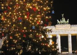 I 10 alberi di Natale più belli del mondo: la classifica. VIDEO