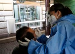 Covid, tamponi rapidi sono attendibili? Al test fai da te "sfugge un positivo su 4"