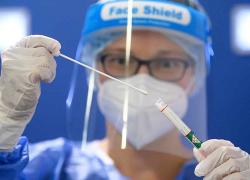 Nuova variante Covid scoperta in Francia: "Ihu" arriva dal Camerun  ed è imparentata con Omicron