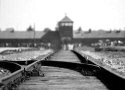 “Se Auschwitz è nulla - Contro il negazionismo”, presentato il volume di Donatella di Cesare

