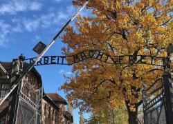 Giornata della Memoria: frasi, aforismi, libri e film per tutti