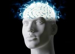 Rotary. Progetto “Società e salute”. Crisi sindemiche e proposte di politiche della salute