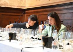 Vino, la Vernaccia di San Gimignano celebra 50 anni dall’istituzione del Consorzio con numeri più che lusinghieri 