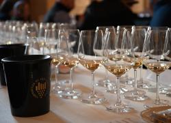Vinitaly 2022, il Consorzio del vino Vernaccia di San Gimignano si prepara a celebrare 50 anni dalla sua fondazione
