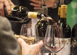 Solidarietà, tre consorzi del vino toscano si alleano per dare vita ad un’asta benefica in favore delle popolazioni dell’Ucraina 