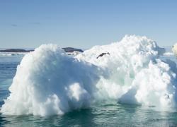 La sfida ambientale: difendere l’uomo e difendere la Terra
